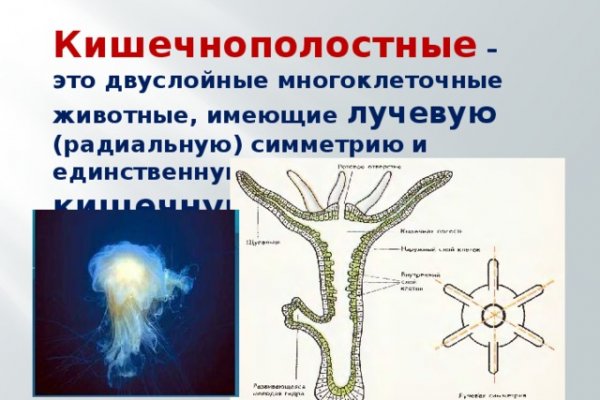 Сайт кракен официальный ссылка onion