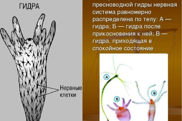 Маркетплейс кракен kraken