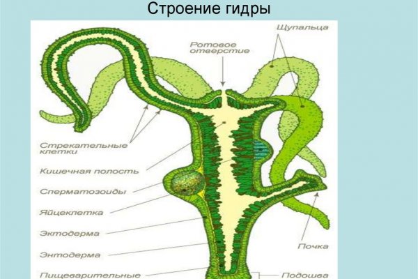 Ссылка на кракен даркнет